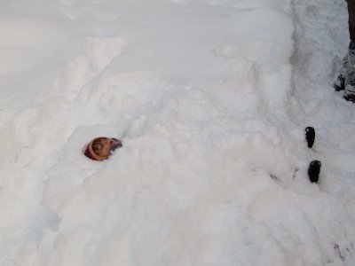 P1020756.jpg
