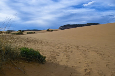 IMG03251.jpg