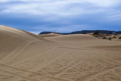 Coral Pink Sand Dunes