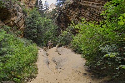 Hidden Canyon