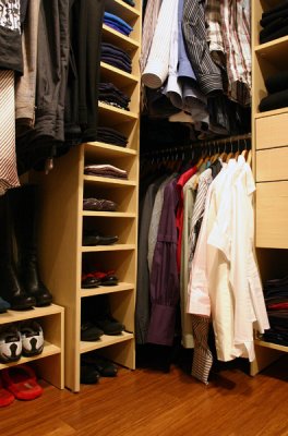 walk-in closet (new floor, new closet organizer)