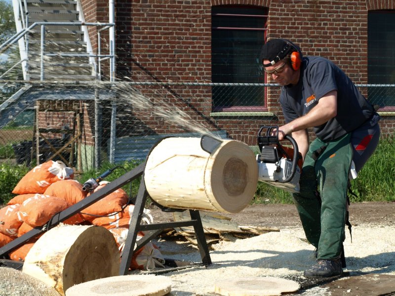 Stihl Timbersports basic training