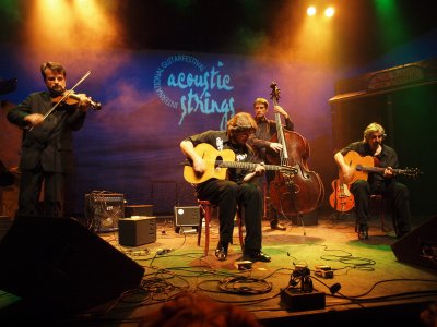 AcousticStrings200905.jpg