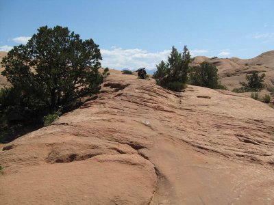Slickrock Trail Moab53.JPG