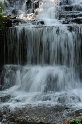 DSC_3761_resize.JPG