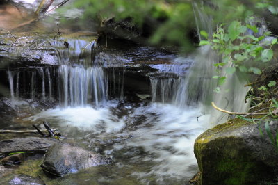 DSC_3766_resize.JPG