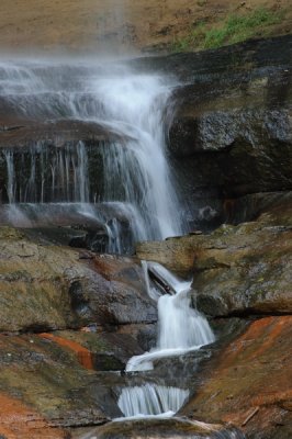 DSC_3784_resize.JPG