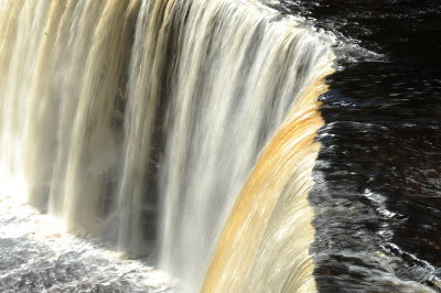 DSC_4197_resize.JPG