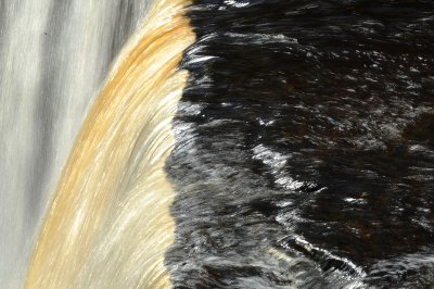 DSC_4199_resize.JPG