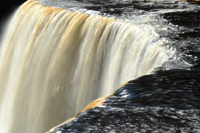 DSC_4210_resize.JPG