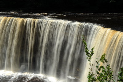 DSC_4221_resize.JPG