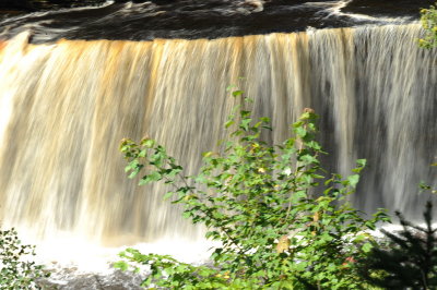 DSC_4230_resize.JPG