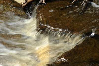 DSC_4251_resize.JPG