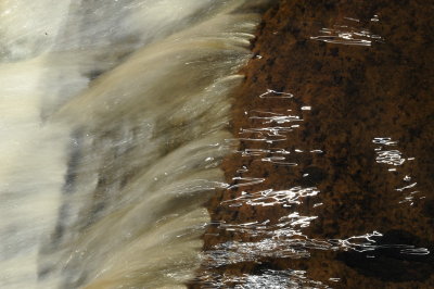 DSC_4256_resize.JPG