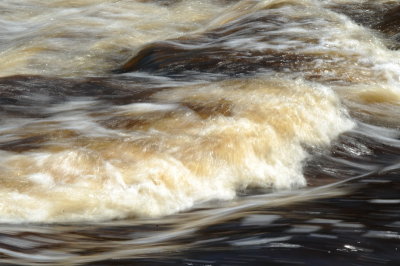 DSC_4265_resize.JPG
