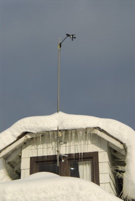 DSC_3954_resize.JPG