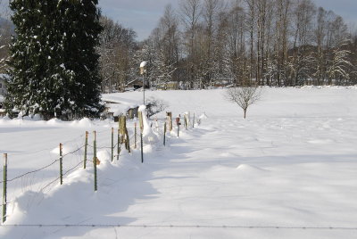 DSC_3962_resize.JPG
