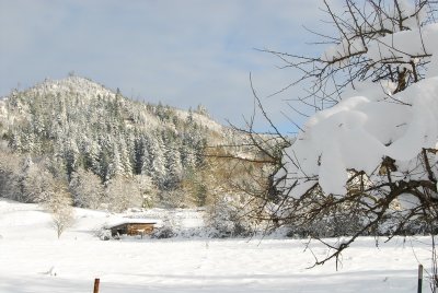 DSC_3982_resize.JPG