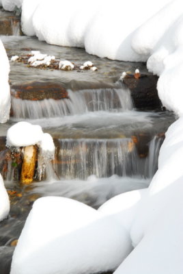 DSC_3985_resize.JPG
