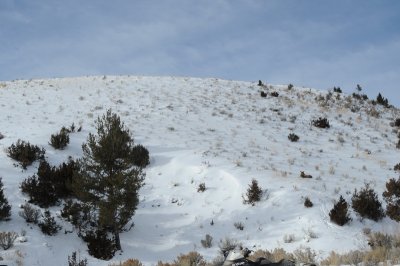 DSC_6577_resize.JPG