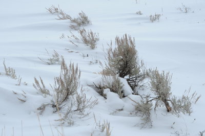 DSC_6366_resize.JPG