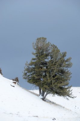 DSC_6370a_resize.jpg