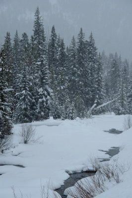 DSC_6352a_resize.jpg