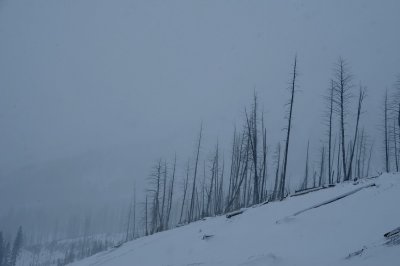 DSC_6354a_resize.jpg