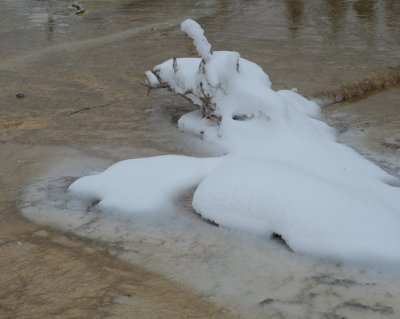 DSC_6489_resize.JPG
