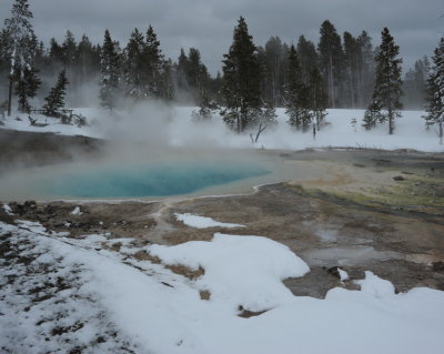 DSC_6502_resize.JPG