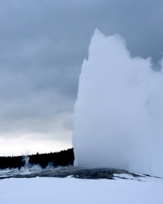DSC_6465abc_resize.jpg