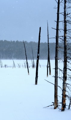 DSC_6542a_resize.jpg