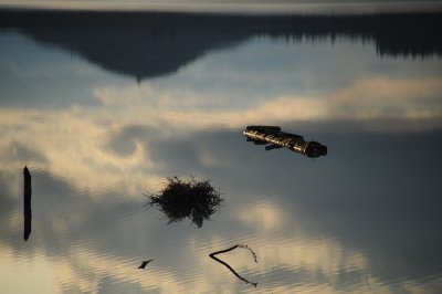 DSC_6859_resize.JPG
