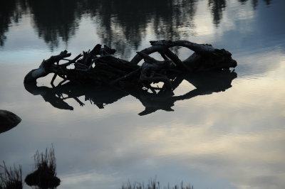 DSC_6866_resize.JPG