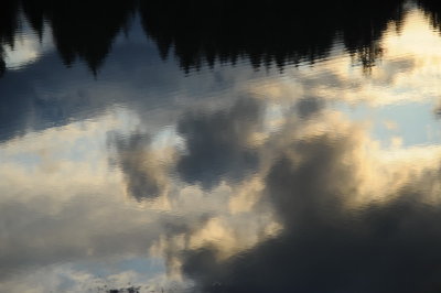 DSC_6867_resize.JPG