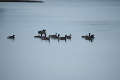 DSC_6885_resize.JPG