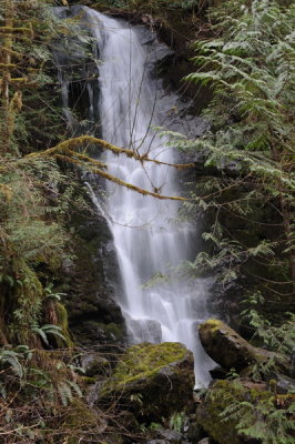 DSC_6897_resize.JPG
