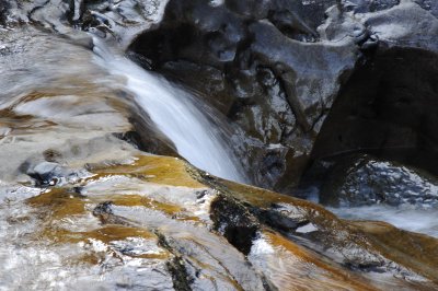 lake_quinault