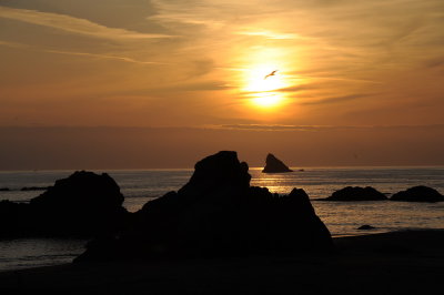 DSC_7541_resize.JPG