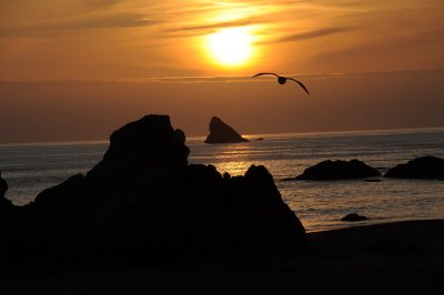 DSC_7544a_resize.jpg