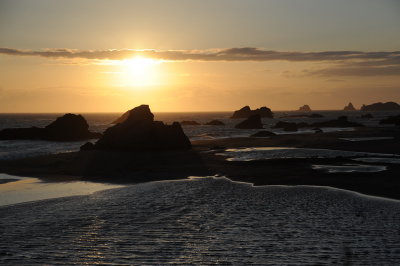 DSC_7667_resize.JPG