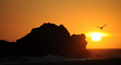 DSC_7718a_resize.jpg
