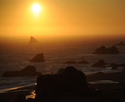 DSC_7762a_resize.jpg