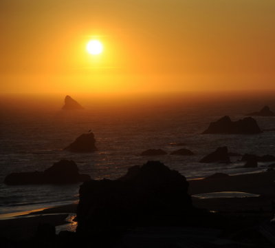 DSC_7769a_resize.jpg