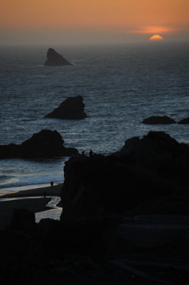 DSC_7781_resize.JPG