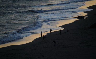 DSC_7786a_resize.jpg