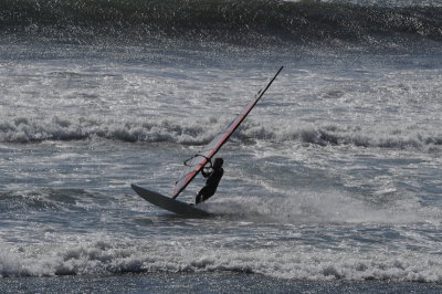 DSC_8707_resize.JPG