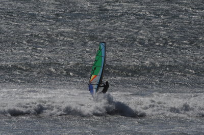 DSC_8719_resize.JPG