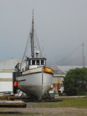 2009_09110071_resize.JPG