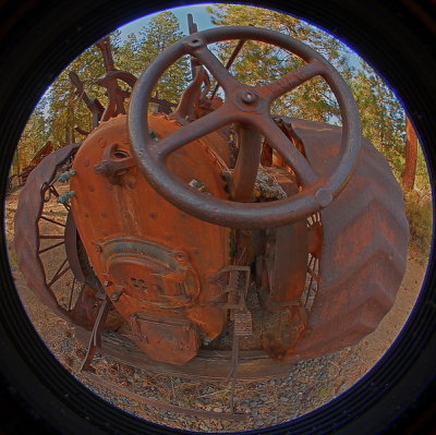 DSC_7355bc_resize.jpg